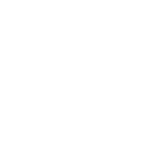 Shock and Suspension Icon